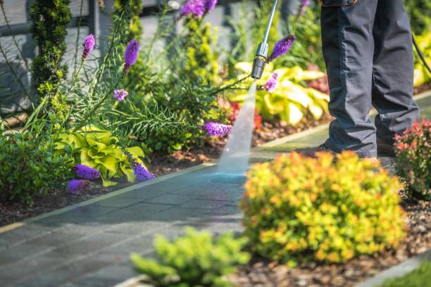 Best Driveway Pressure Washing  in Bellefonte, DE