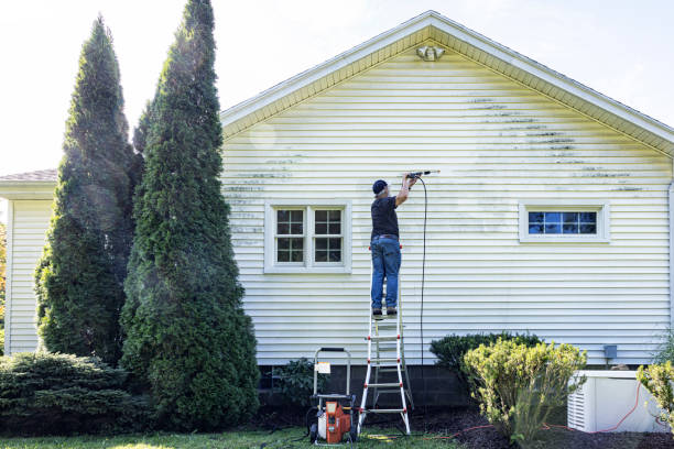 Professional Pressure Washing in Bellefonte, DE